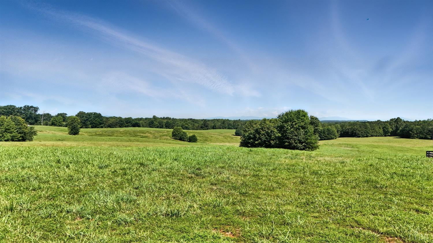 1433 Piney Mountain Road Appomattox, VA 24522 - Photo 66 of 68 a view of a lush green outdoor space with a lake view