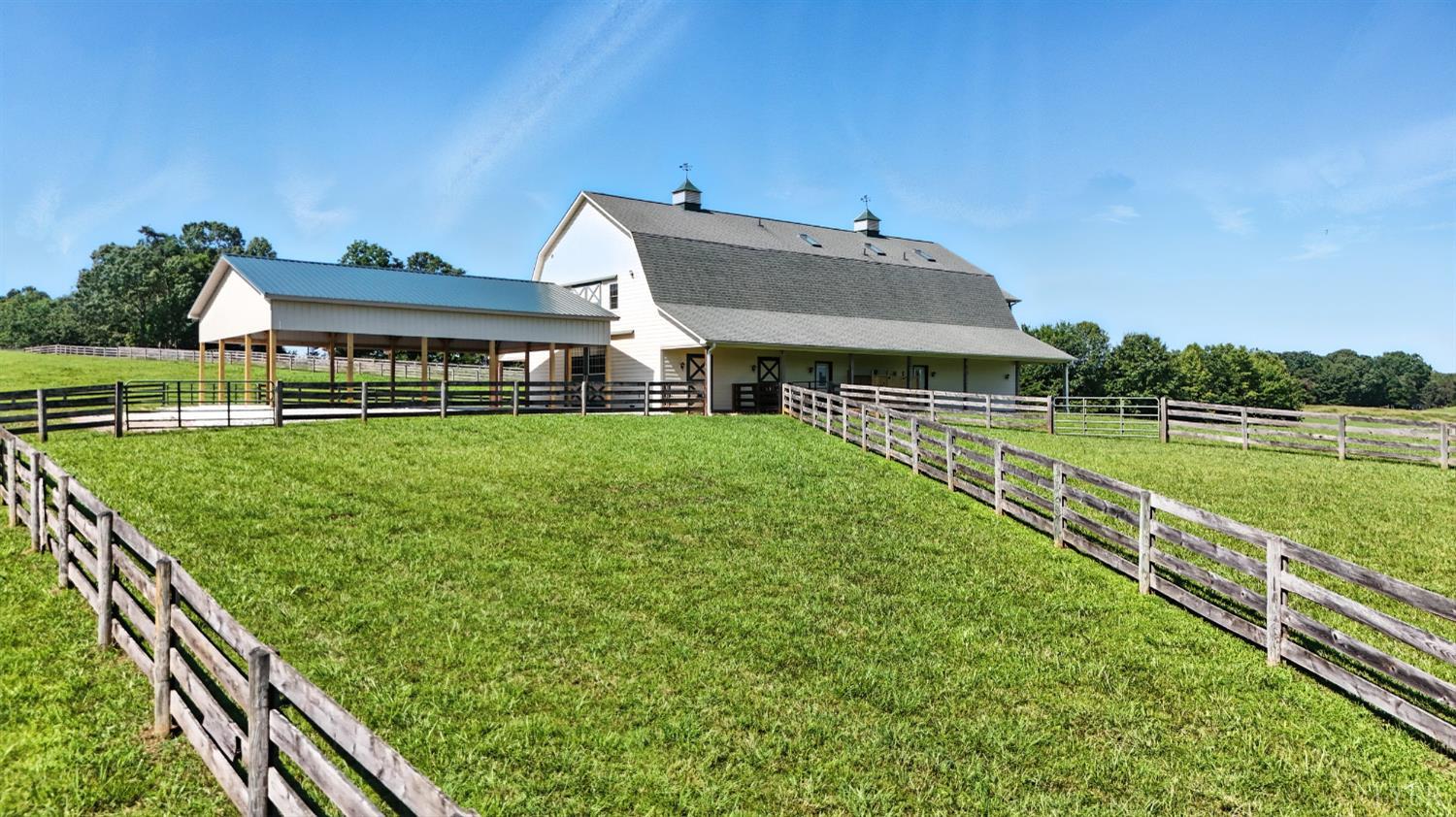 1433 Piney Mountain Road Appomattox, VA 24522 - Photo 10 of 68 a view of a house with a big yard and potted plants