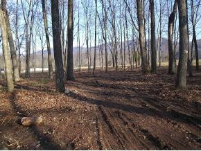 0 Cecil Vanhuss Road Elizabethton, TN 37643 - Photo 1 of 2 Photo 1