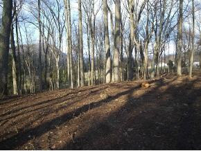 0 Cecil Vanhuss Road Elizabethton, TN 37643 - Photo 2 of 2 Photo 3