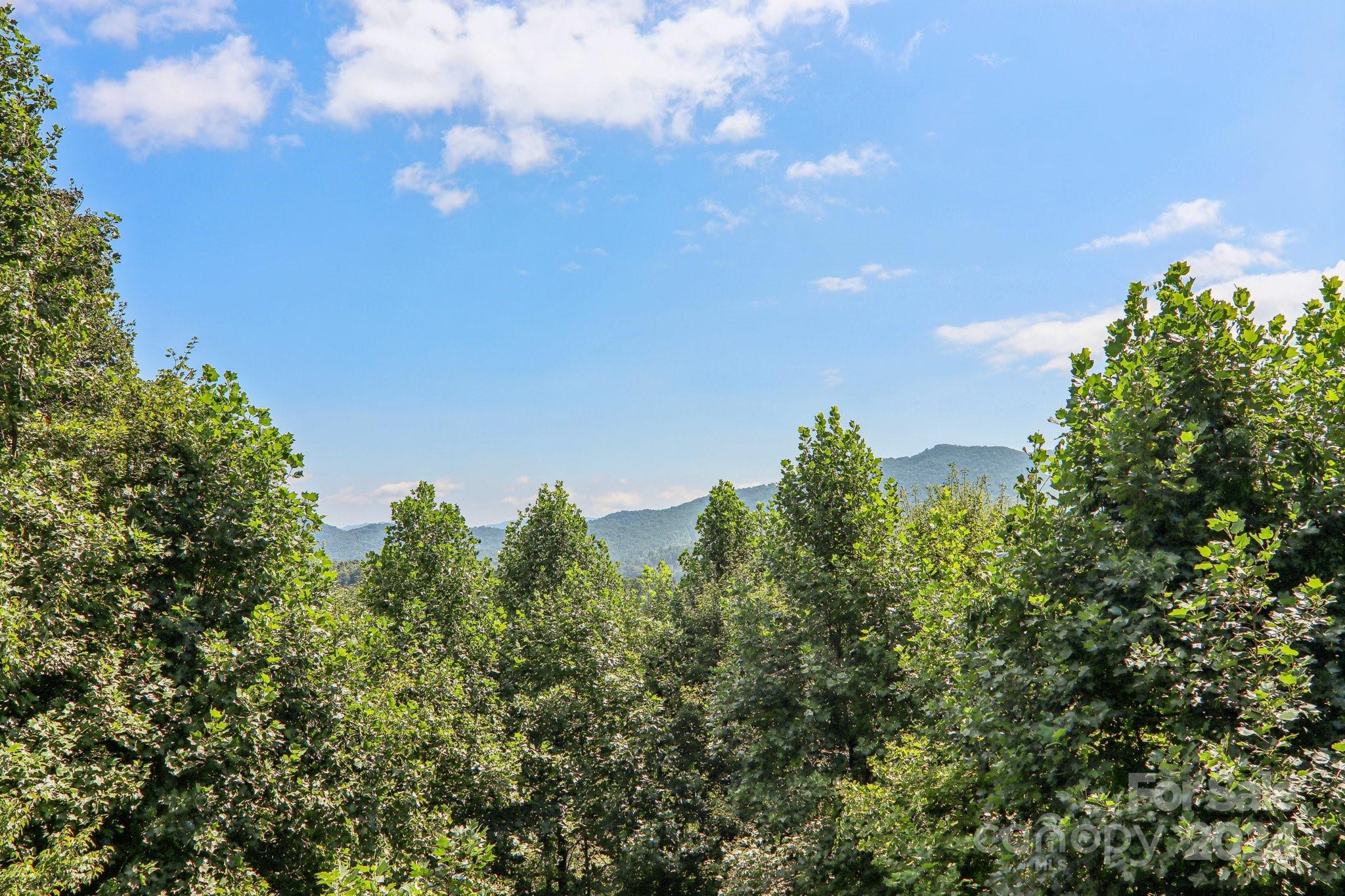 376 Higher Ground Ridge Waynesville, NC 28785 - Photo 47 of 47 Gallery Image 47