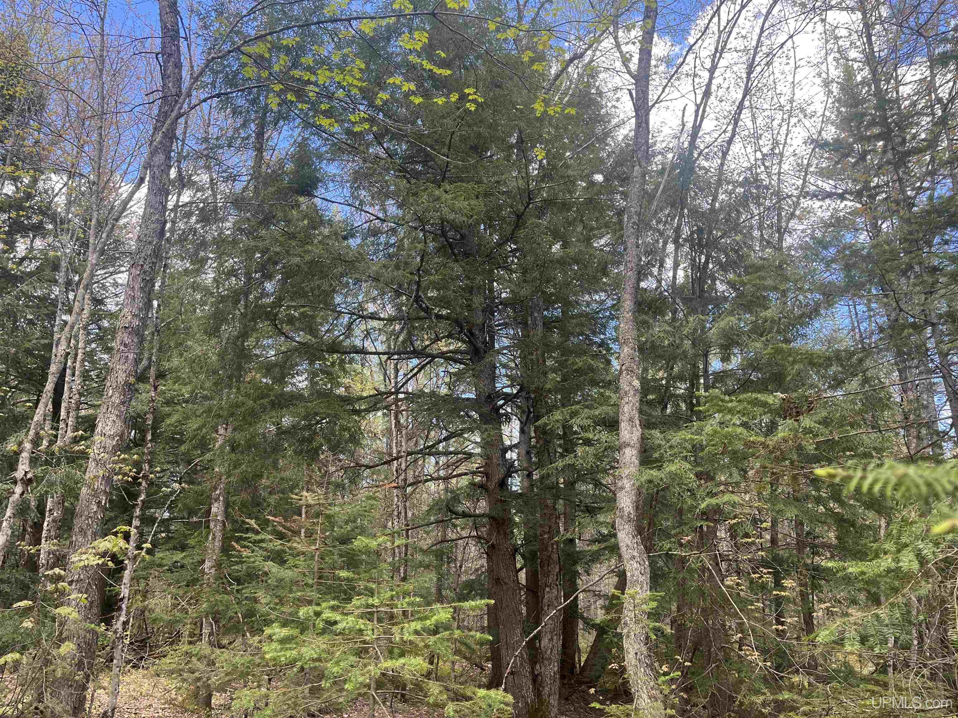 450 Rd Seney Mi 49883 Road Seney, MI 49883 - Photo 14 of 33