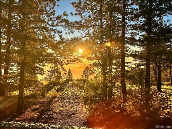 a view of a backyard of the house