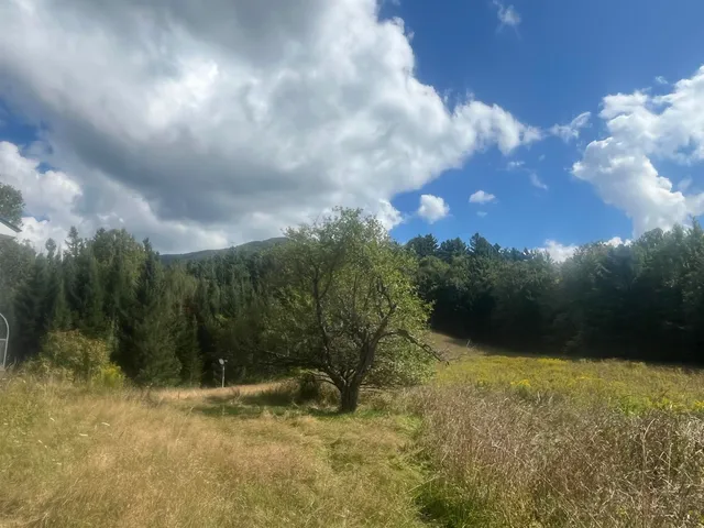 $475,000 | 85 Hathaway Road, Goshen, VT 05733