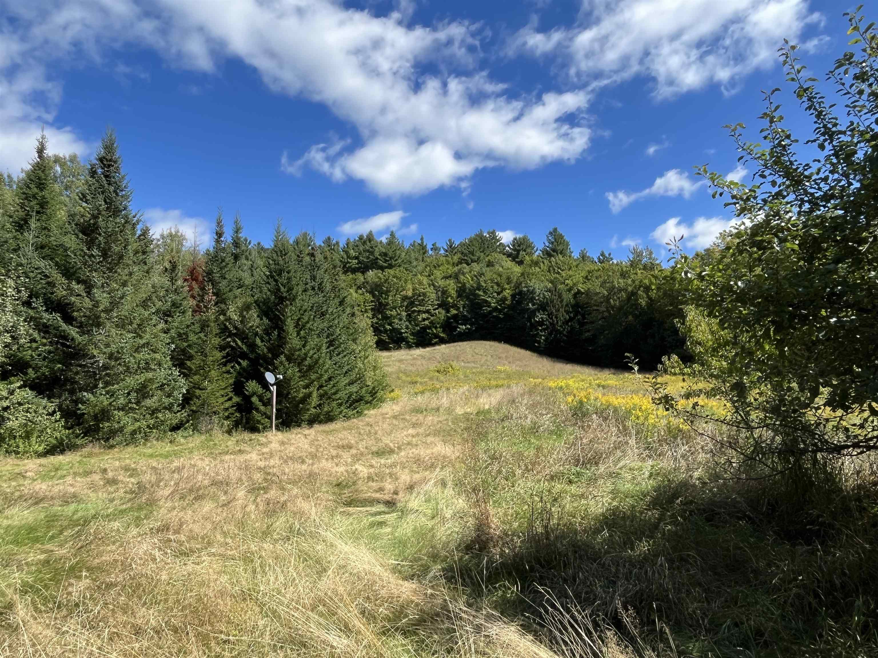 85 Hathaway Road Goshen, VT 05733 - Photo 4 of 47