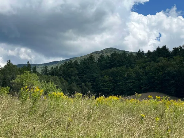 $475,000 | 85 Hathaway Road, Goshen, VT 05733