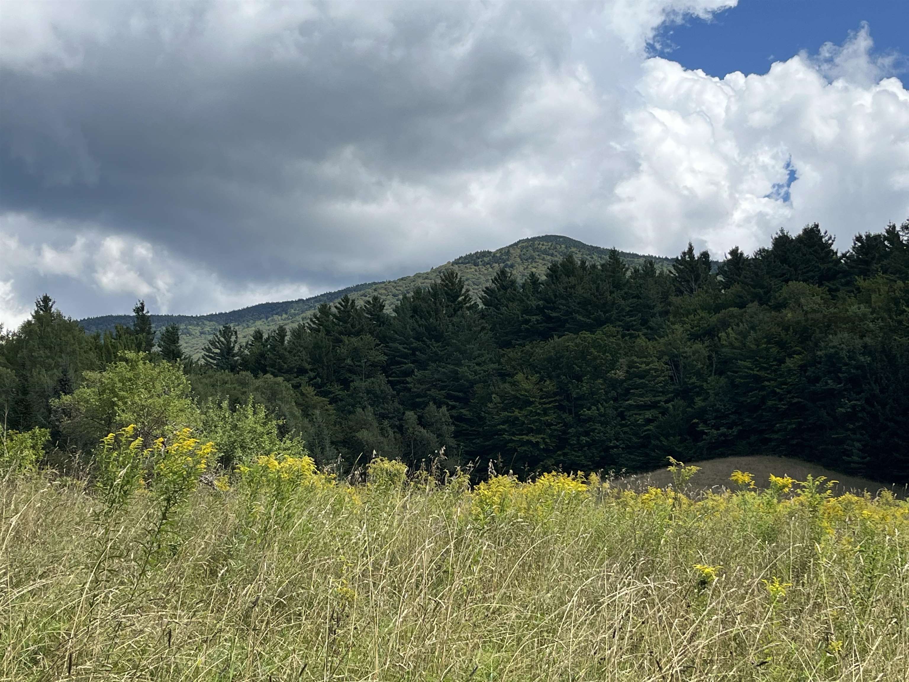 85 Hathaway Road Goshen, VT 05733 - Photo 5 of 47
