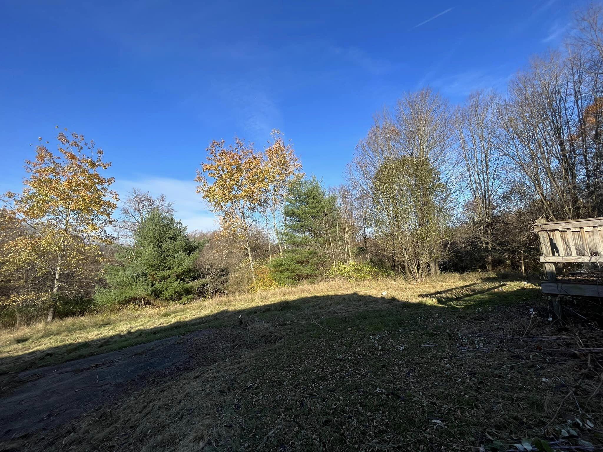 18599 Scott Road Mount Vernon, OH 43050 - Photo 44 of 47 42