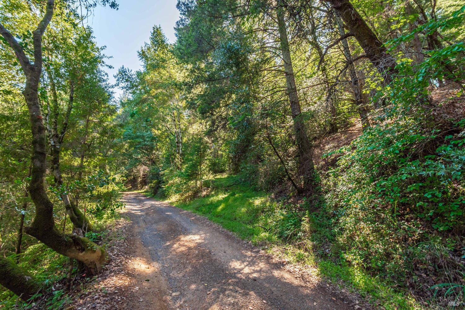 0 Dry Creek Road Napa, CA 94558 - Photo 26 of 98
