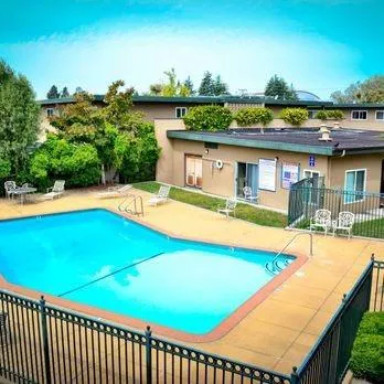 a view of a swimming pool with an outdoor seating and a garden