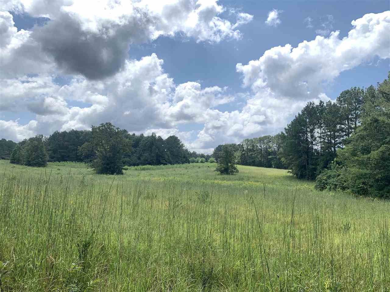 0 Tithelo Road Canton, MS 39046 - Photo 1 of 9 Photo 1