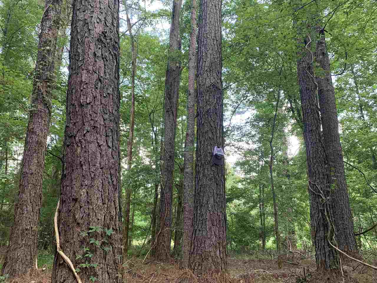 0 Tithelo Road Canton, MS 39046 - Photo 2 of 9 Photo 2
