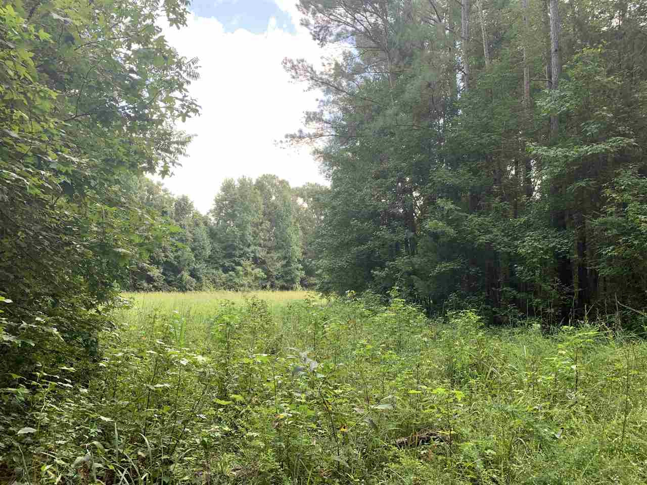 0 Tithelo Road Canton, MS 39046 - Photo 4 of 9 Photo 4