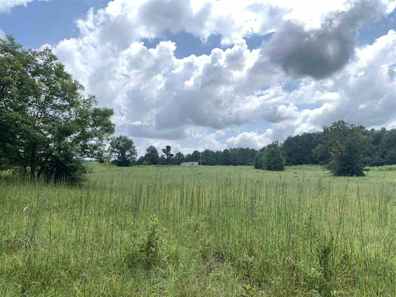 0 Tithelo Road Canton, MS 39046 - Photo 5 of 9 Photo 5