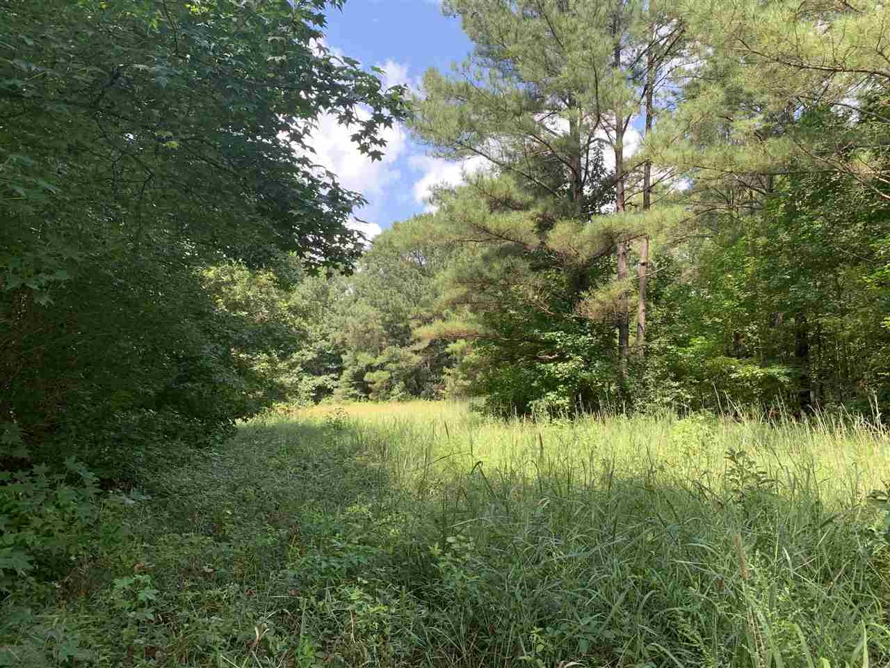 0 Tithelo Road Canton, MS 39046 - Photo 7 of 9 Photo 7