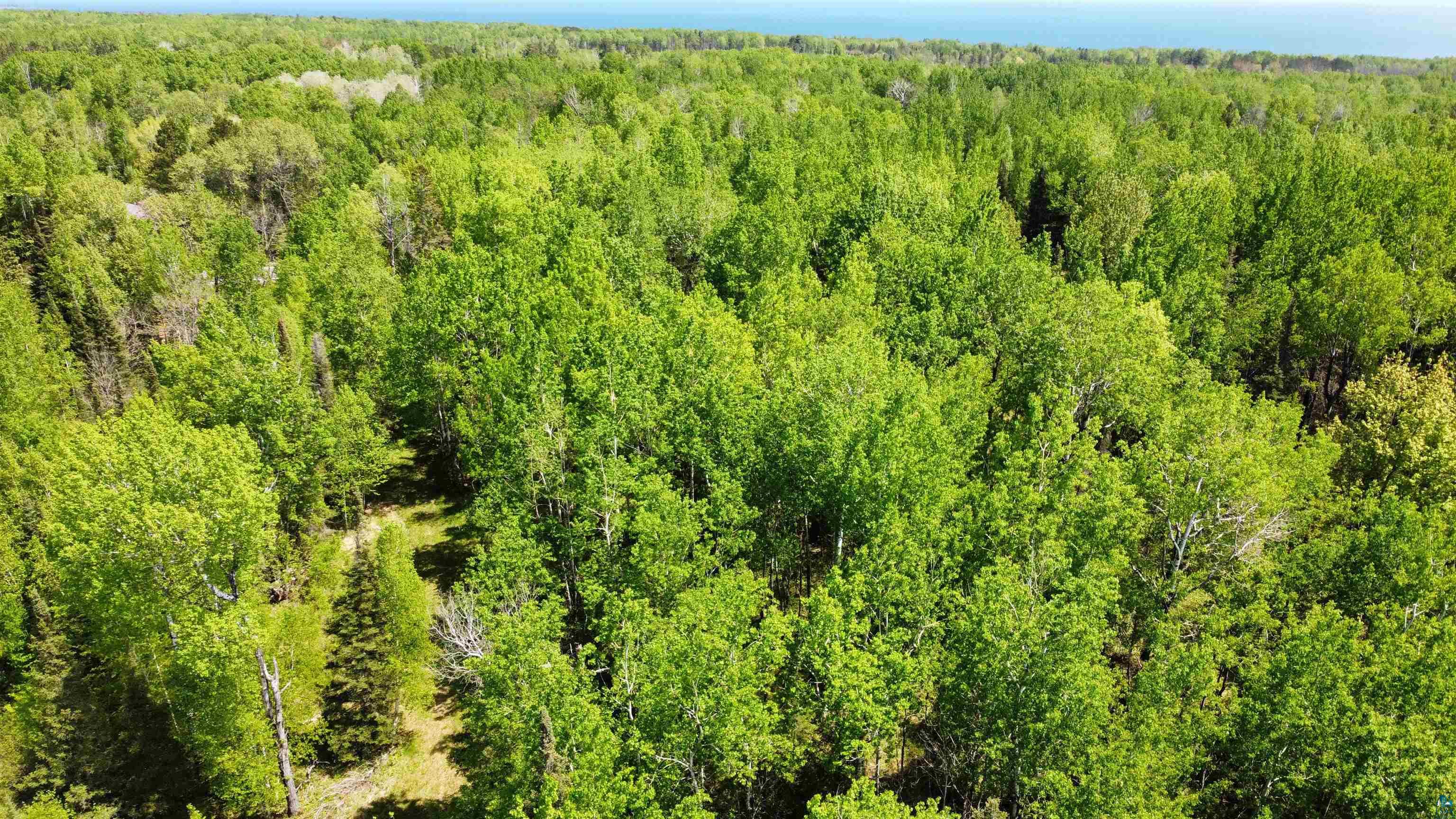 5377 McQuade Road Duluth, MN 55804 - Photo 8 of 10