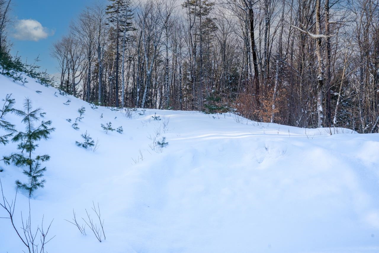 56 Lower Taylor Hill Road Winhall, VT 05340 - Photo 5 of 15
