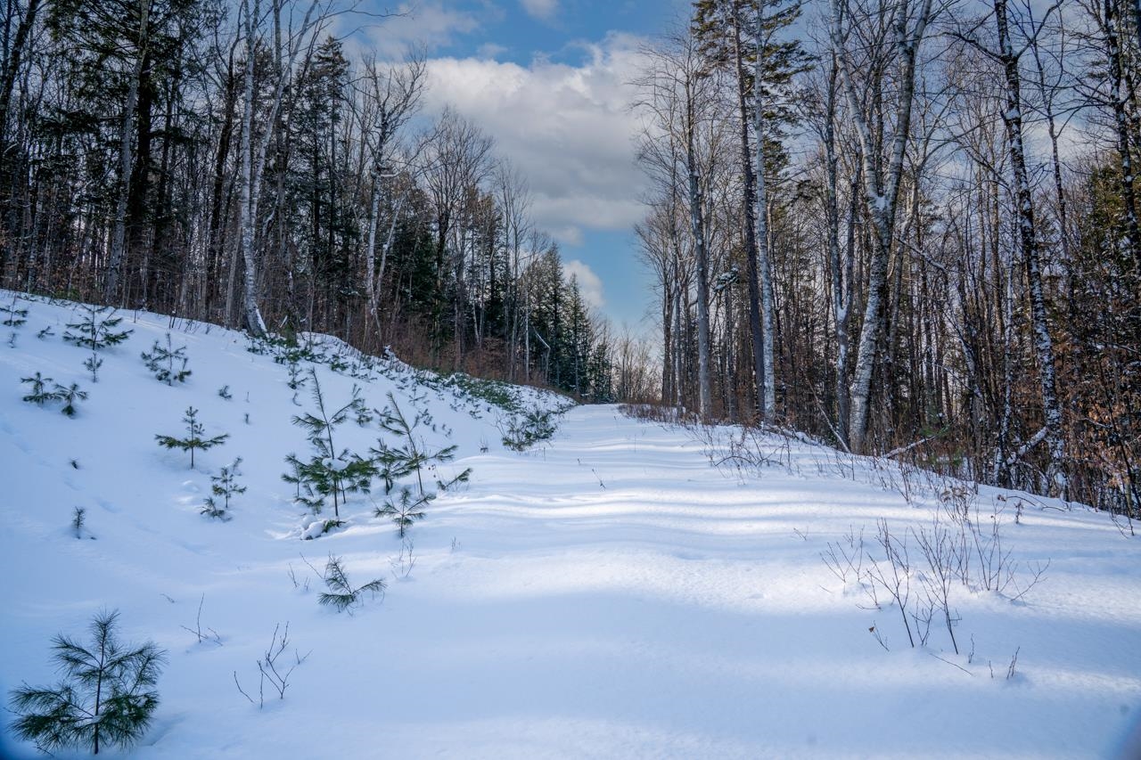 56 Lower Taylor Hill Road Winhall, VT 05340 - Photo 6 of 15
