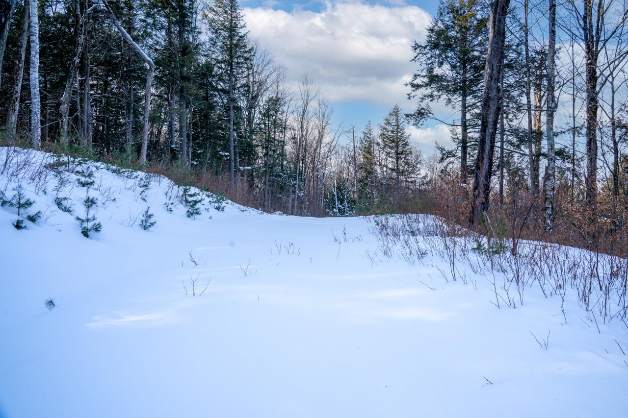 56 Lower Taylor Hill Road Winhall, VT 05340 - Photo 7 of 15