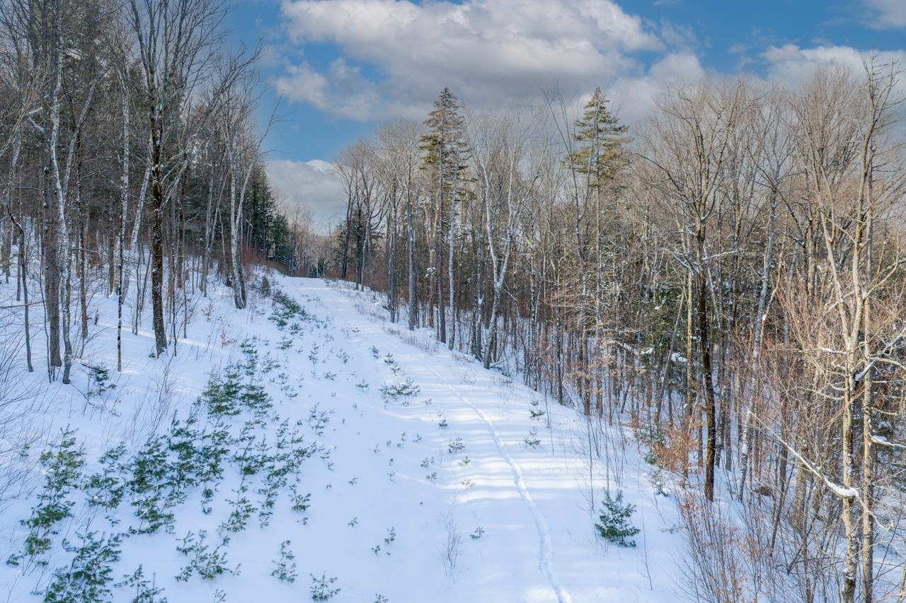 56 Lower Taylor Hill Road Winhall, VT 05340 - Photo 9 of 15