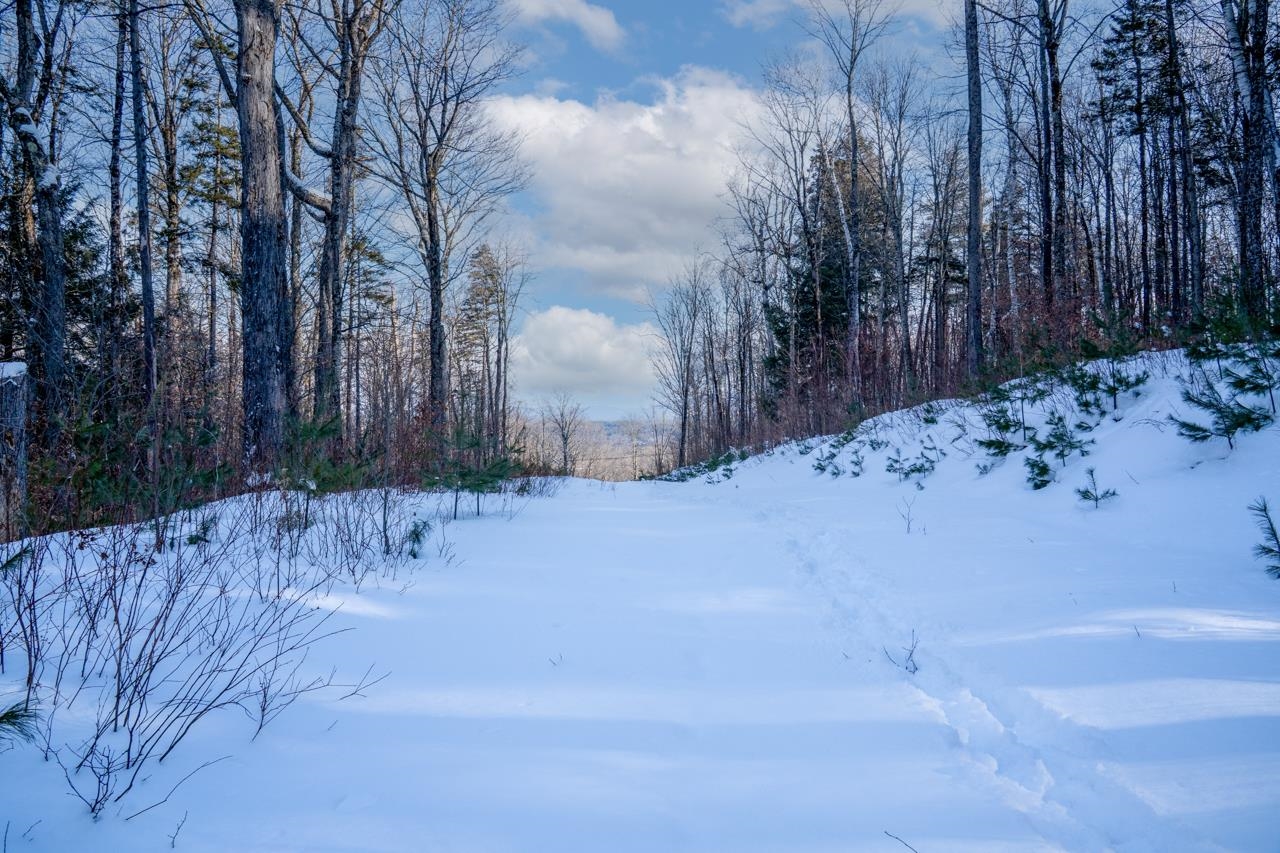 56 Lower Taylor Hill Road Winhall, VT 05340 - Photo 10 of 15