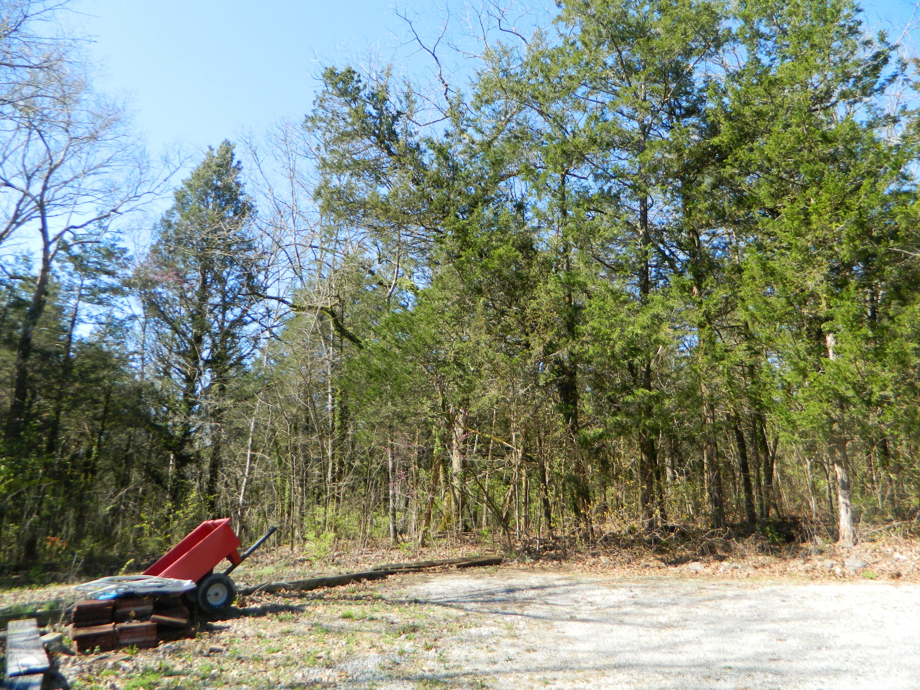 367 Morganville Ridge Road Trenton, GA 30752 - Photo 31 of 34 DSCN3273