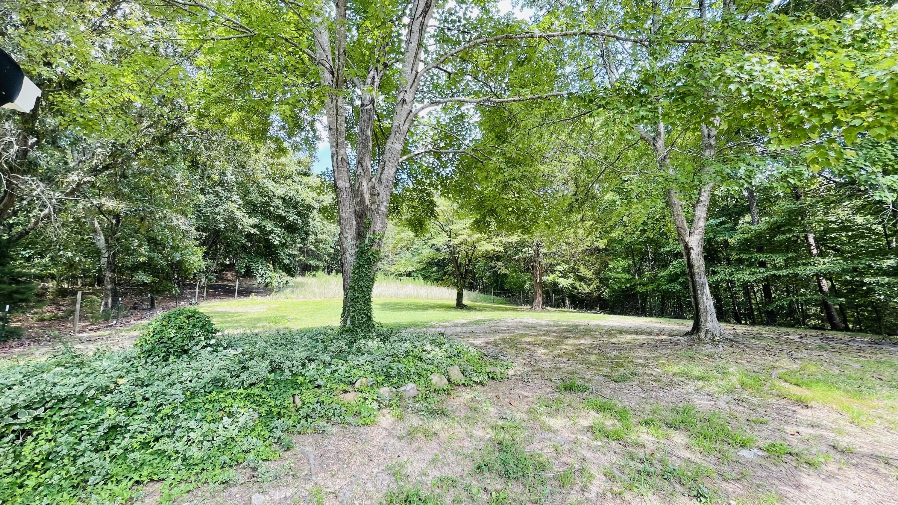 6521 Shirley Pond Road Harrison, TN 37341 - Photo 32 of 35 Back Yard