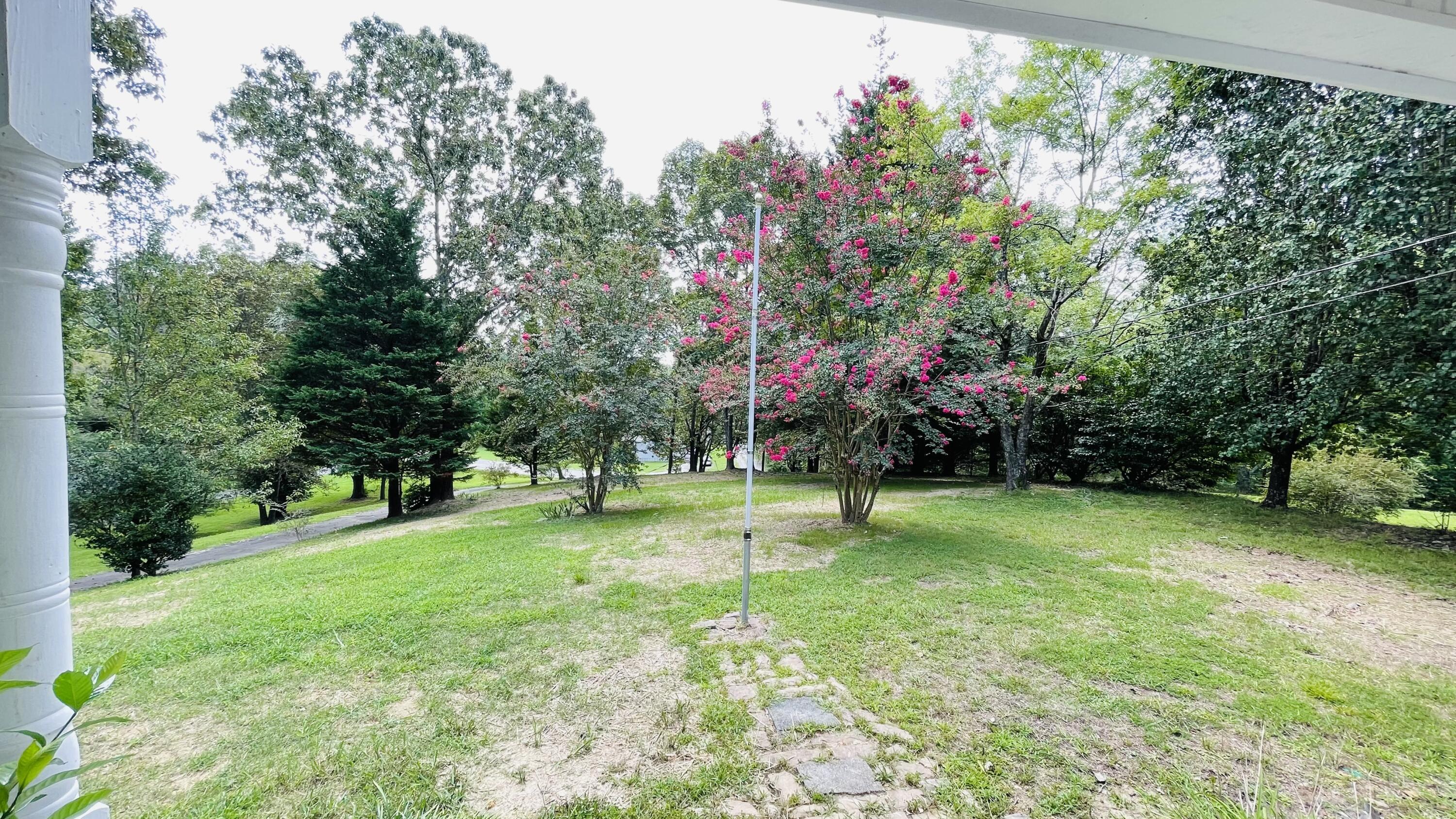 6521 Shirley Pond Road Harrison, TN 37341 - Photo 33 of 35 Front Yard