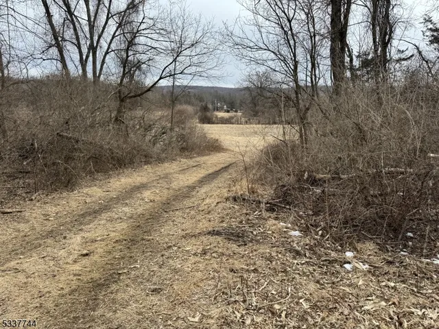 $1,500,000 | 0 Decker Pond/airport Road, Andover, NJ 07821