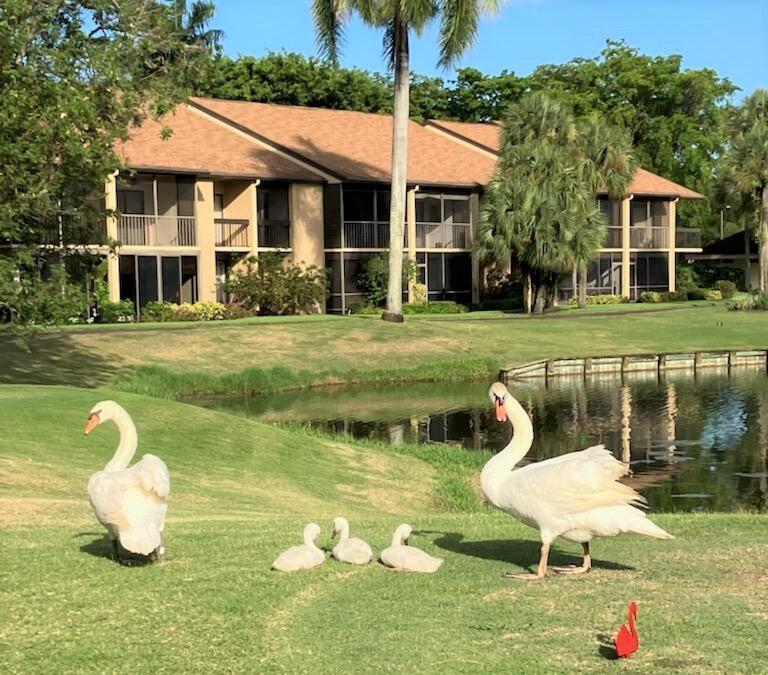 5642 Forest Oaks Terrace Delray Beach, FL 33484 - Photo 37 of 37 a front view of a house with garden