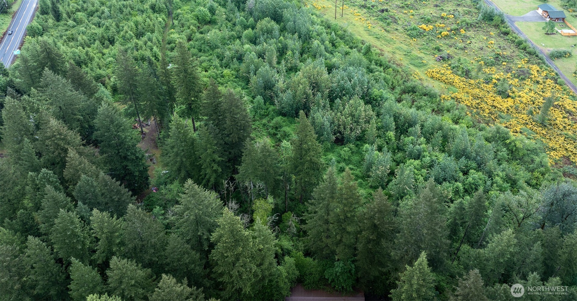 12155 Lewis River Road Ariel, WA 98603 - Photo 14 of 23 Gallery Image 14