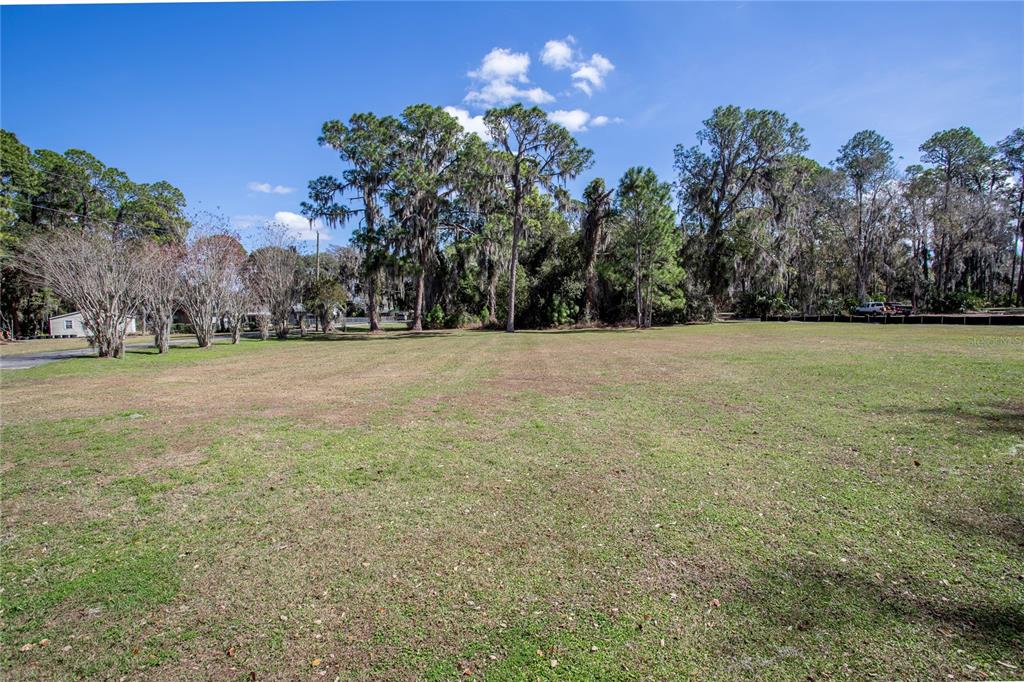 31035 Cove Road Tavares, FL 32778 - Photo 2 of 13