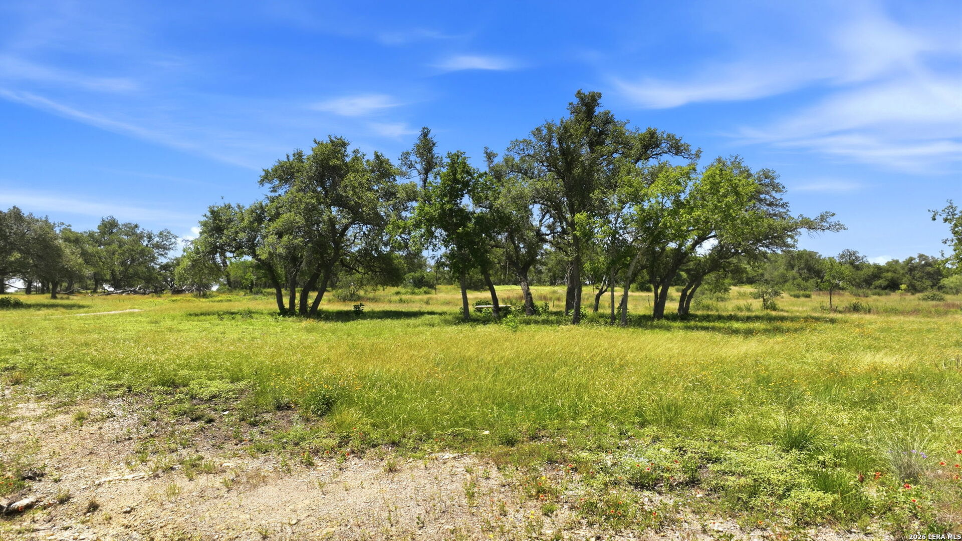 718 Windmill Ridge Drive Blanco, TX 78606 - Photo 5 of 32