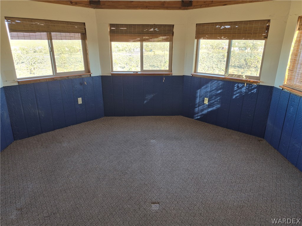 26432 Tamarisk Street, Unit STREET Meadview, AZ 86444 - Photo 22 of 60 Carpeted empty room featuring a wainscoted wall and wooden walls