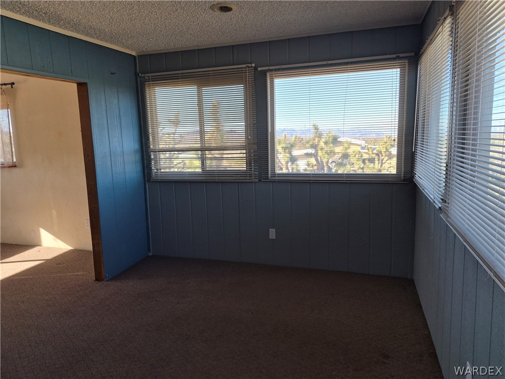 26432 Tamarisk Street, Unit STREET Meadview, AZ 86444 - Photo 24 of 60 Unfurnished room with wooden walls, dark carpet, a textured ceiling, and crown molding
