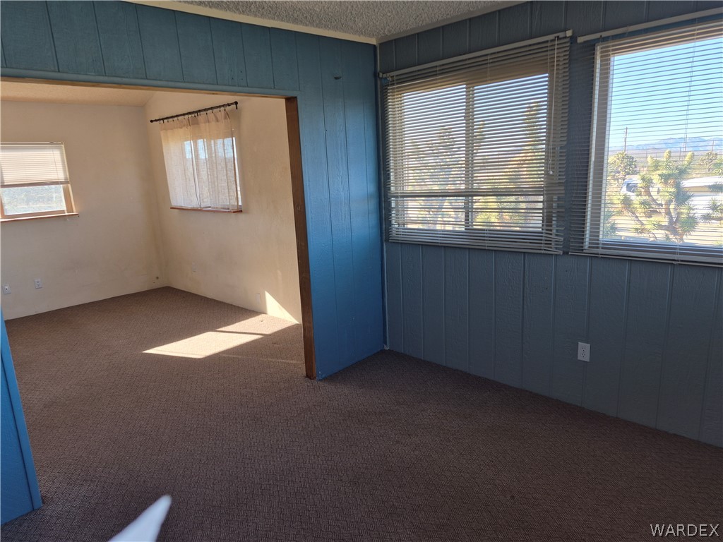 26432 Tamarisk Street, Unit STREET Meadview, AZ 86444 - Photo 25 of 60 Carpeted empty room with wooden walls and a textured ceiling