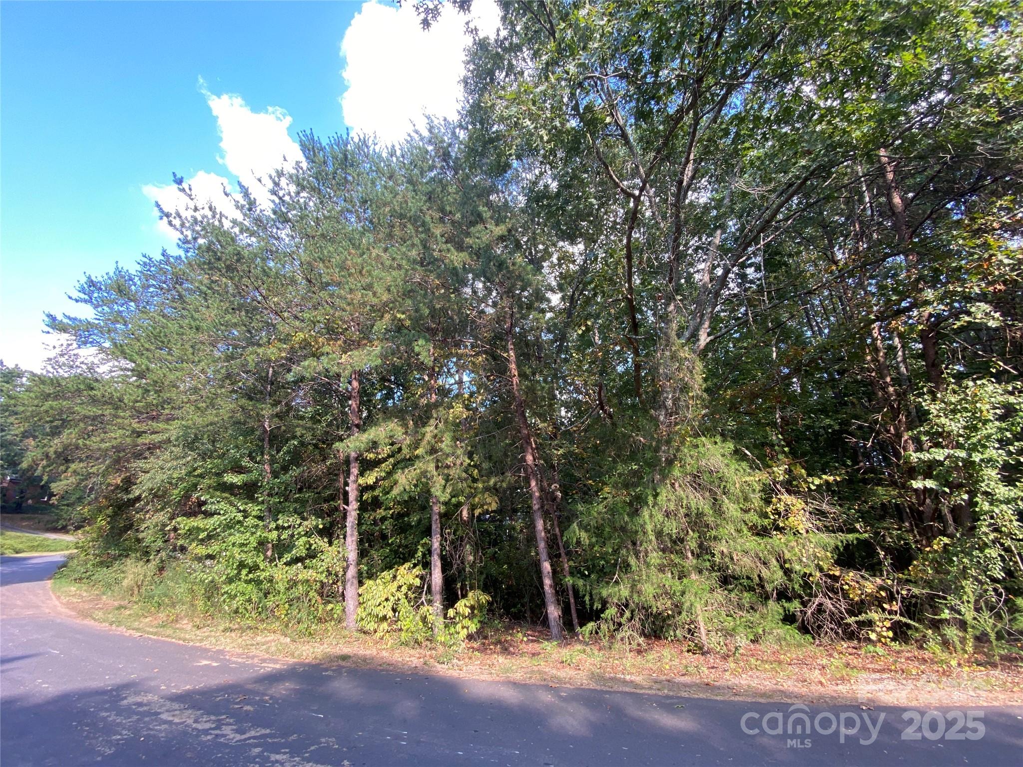 1301 Shadowfax Wynd, Unit 51 Hickory, NC 28602 - Photo 3 of 12 a view of a forest with large trees
