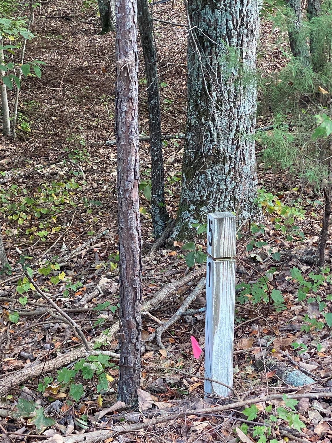 1301 Shadowfax Wynd, Unit 51 Hickory, NC 28602 - Photo 5 of 12