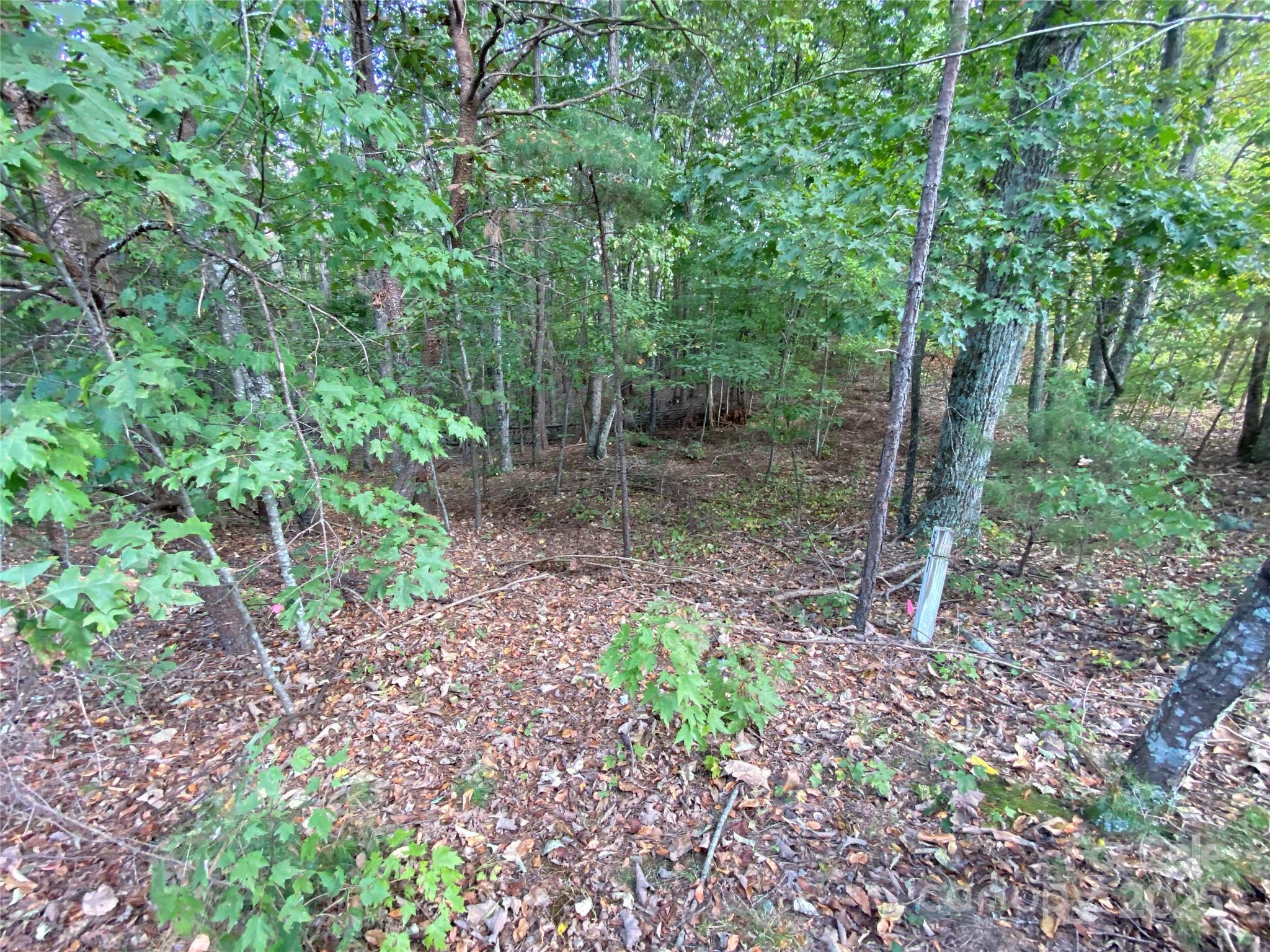 1301 Shadowfax Wynd, Unit 51 Hickory, NC 28602 - Photo 7 of 12 a backyard of a house with lots of green space