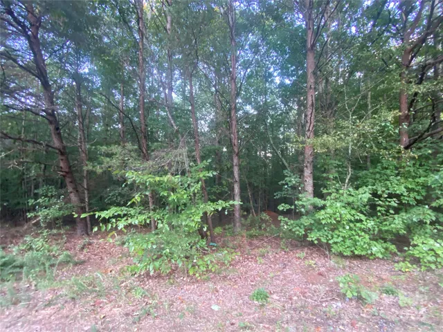 $48,000 | 1301 Shadowfax Wynd, Unit 51, Hickory, NC 28602