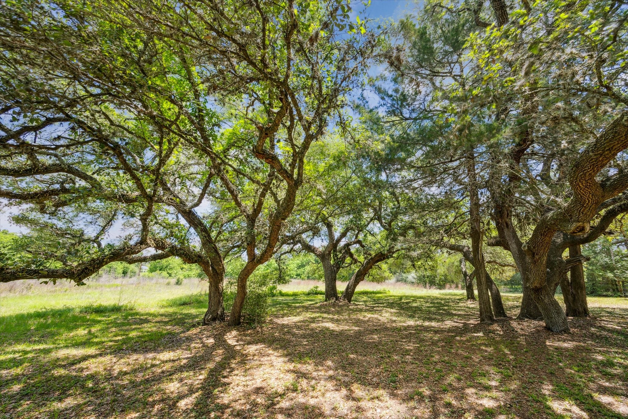 12227 Frantz Road Cat Spring, TX 78933 - Photo 11 of 14