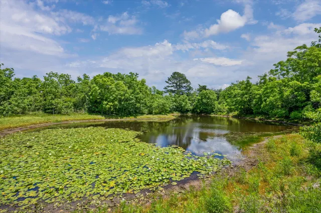 $549,000 | 12227 Frantz Road, Cat Spring, TX 78933