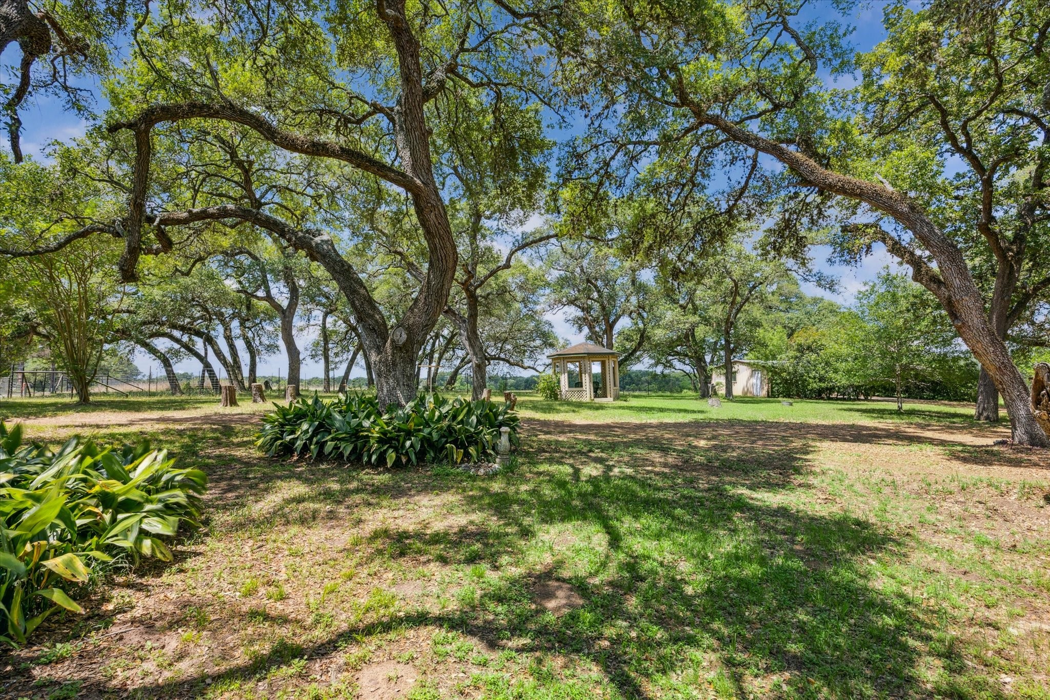 12227 Frantz Road Cat Spring, TX 78933 - Photo 10 of 14