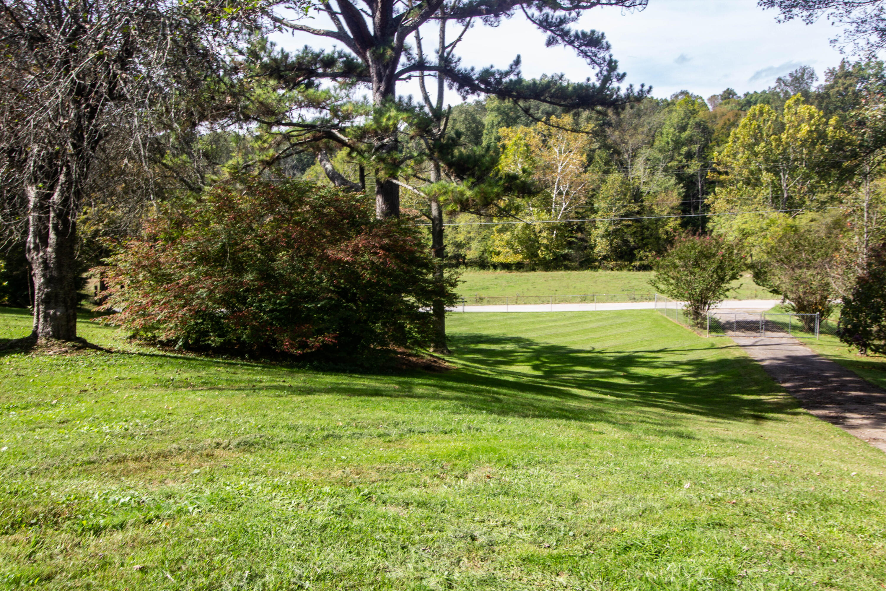 295 Johnson Road Maynardville, TN 37807 - Photo 6 of 23 IMG_0486