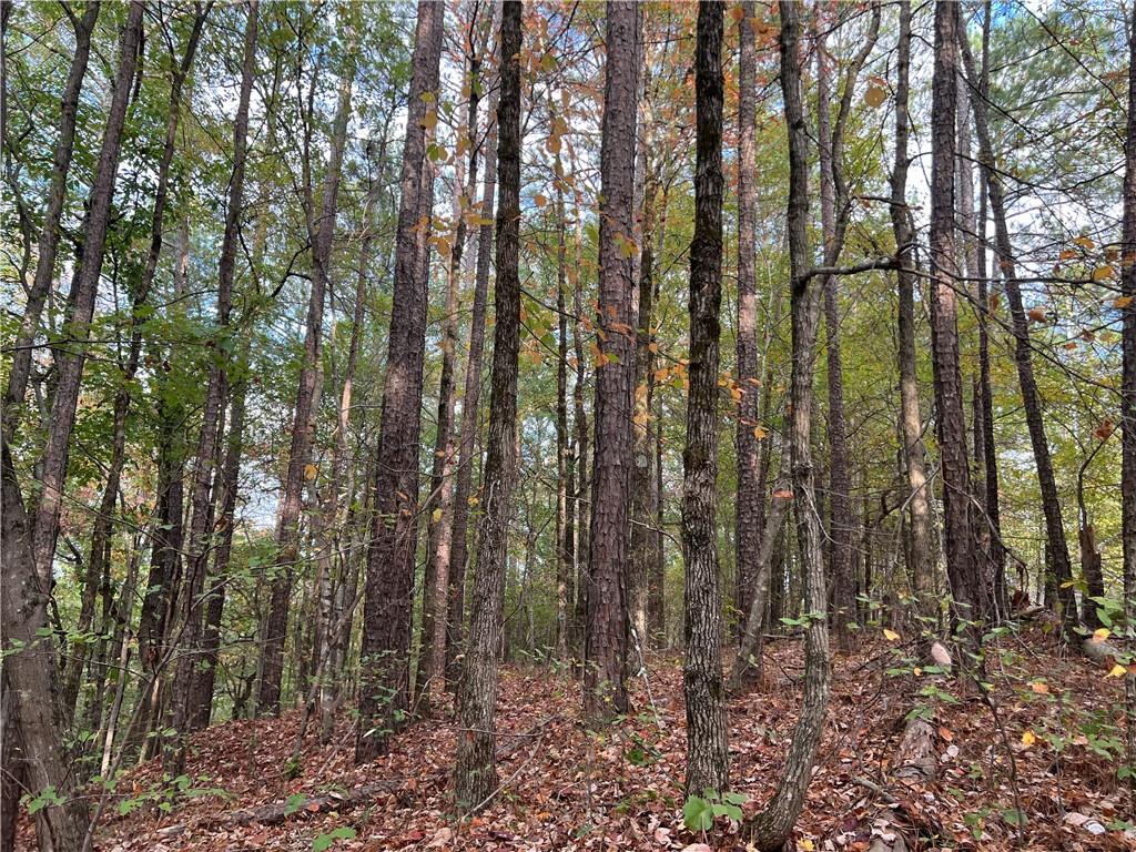 100 Valley View Drive Northwest Cartersville, GA 30121 - Photo 10 of 12