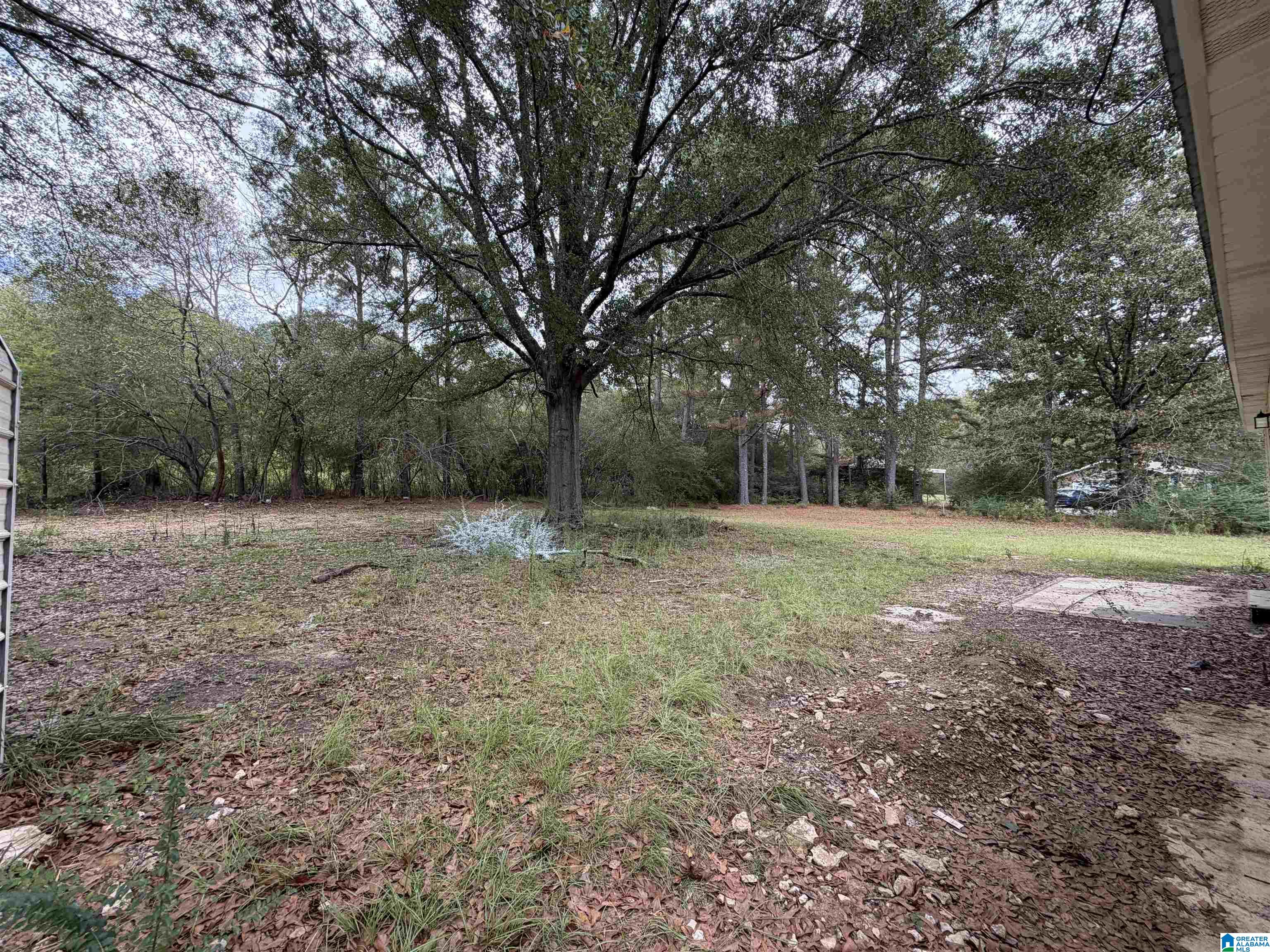 240 Tumblin Road Warrior, AL 35180 - Photo 24 of 28