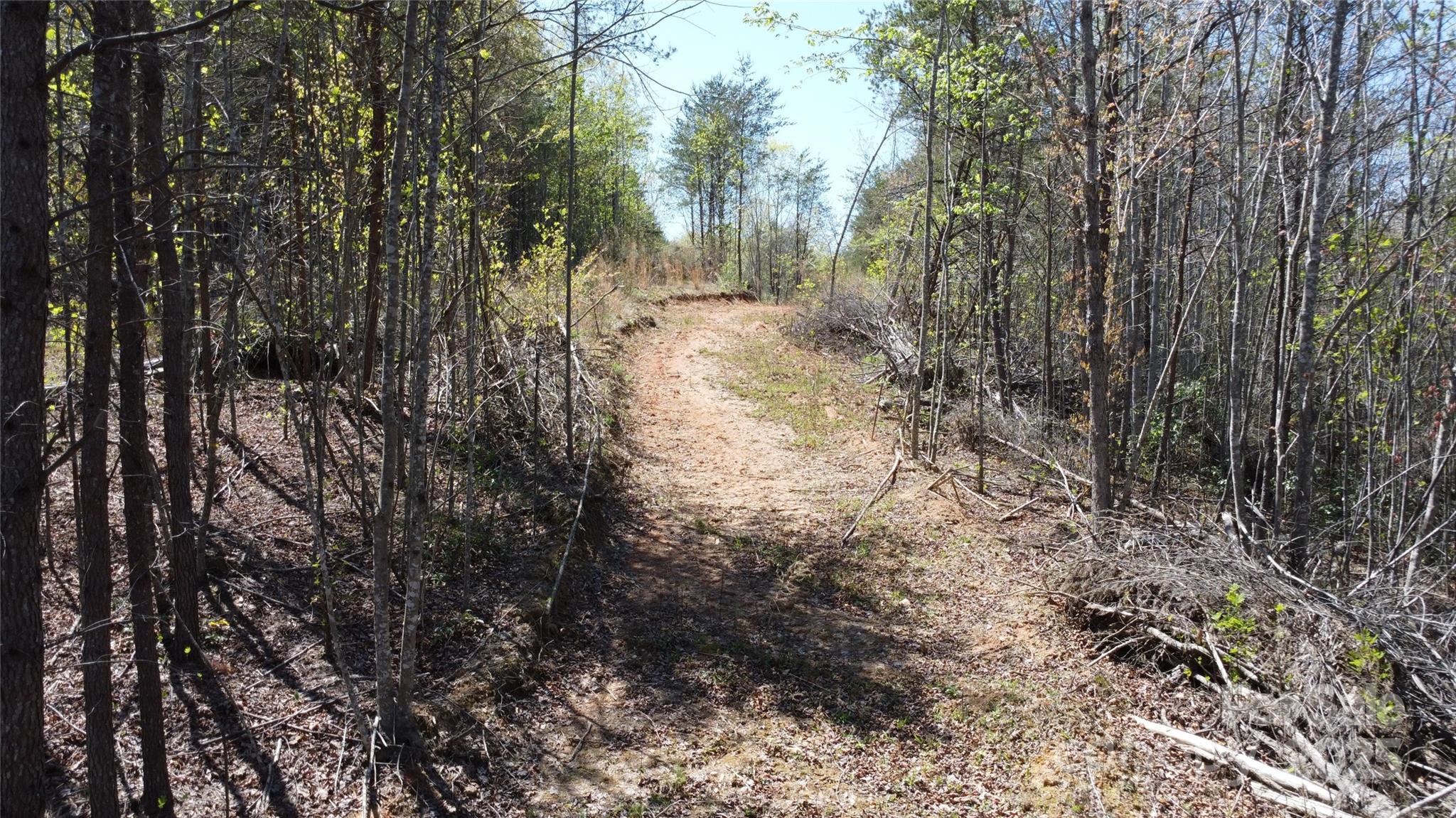 0 Snowhill Church Road Morganton, NC 28655 - Photo 22 of 40