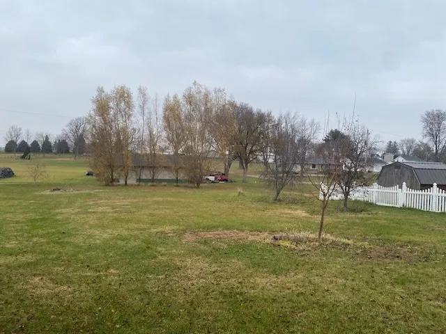 a view of dirt yard with a large tree