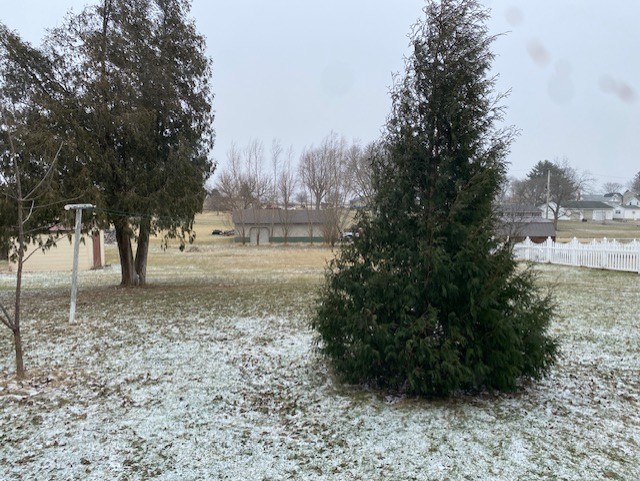 412 West 2nd Street Lostant, IL 61334 - Photo 22 of 22 a view of dirt yard with a large tree