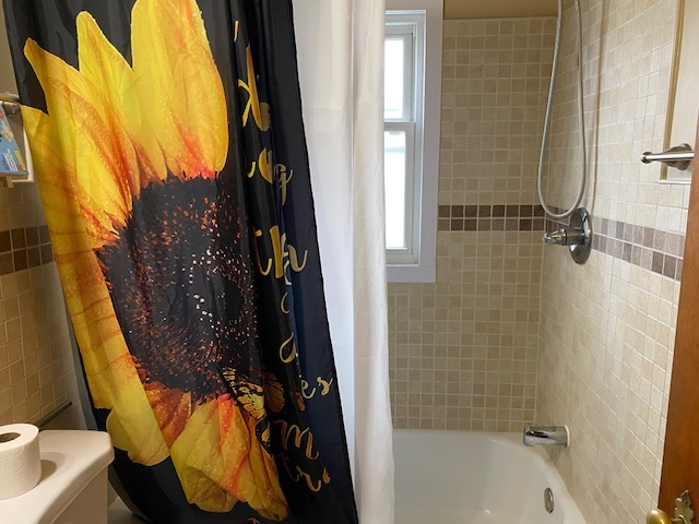 412 West 2nd Street Lostant, IL 61334 - Photo 7 of 22 a bathroom with a bathtub and shower